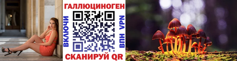 купить наркотик  Нурлат  Псилоцибиновые грибы Magic Shrooms 